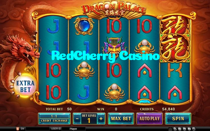 available types of RedCherry Casino bet including pre-match live express and system bets